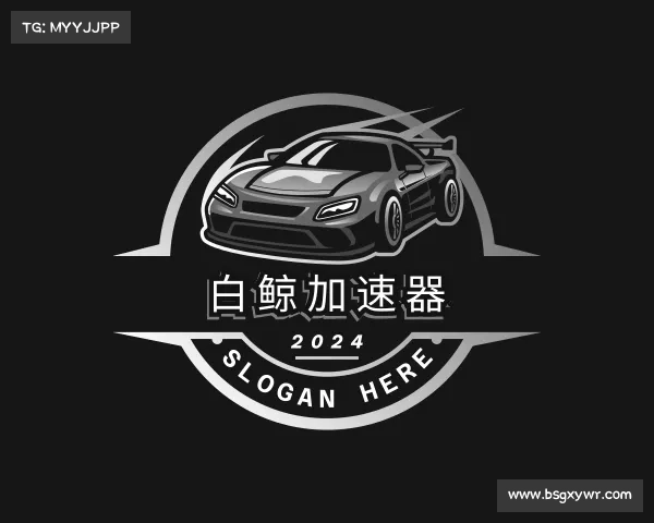 关于白鲸加速器